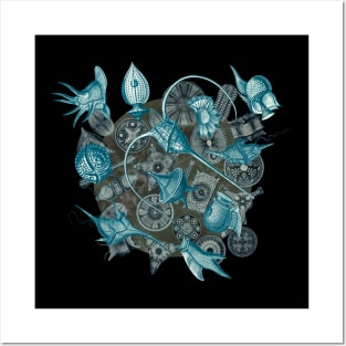 Ernst Haeckel Cerulean Peridinea on Cerulean Diatoms Posters and Art